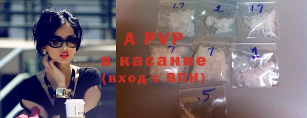 сатива Осташков