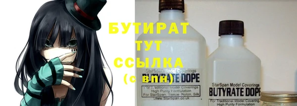 сатива Осташков