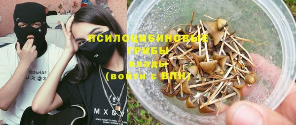 сатива Осташков