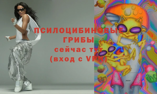 гашик Переславль-Залесский